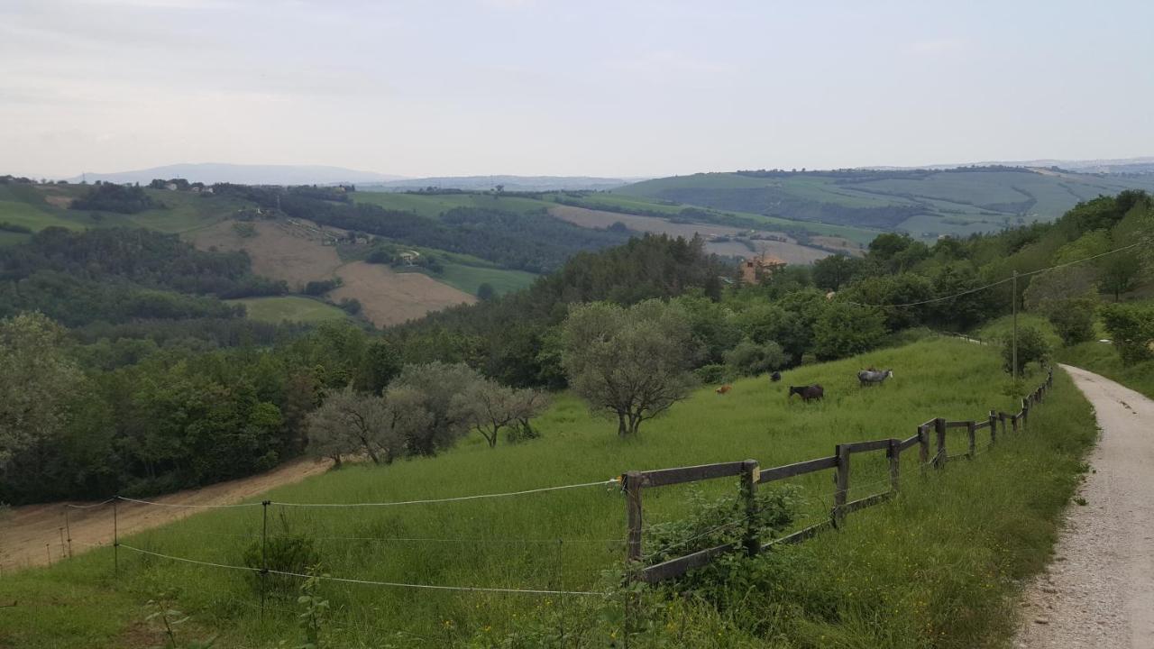 Tenuta Gran Bosco Loro Piceno Εξωτερικό φωτογραφία